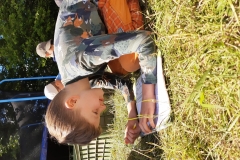 IMG_20200707_093657486