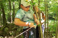 IMG_20200707_122807955