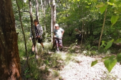 IMG_20200707_122947493