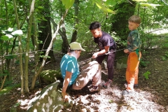 IMG_20200707_123325714