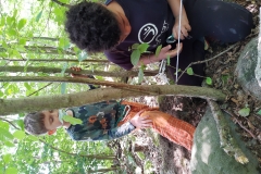 IMG_20200707_124011518