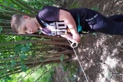 IMG_20200707_124912759