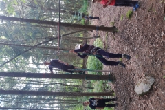 IMG_20200707_170707013