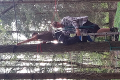 IMG_20200707_174412838