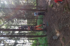 IMG_20200707_175402222