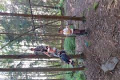 IMG_20200707_175752981