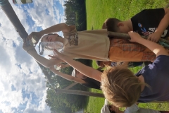 IMG_20200709_165232284_HDR