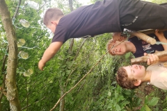 IMG_20200709_165759823