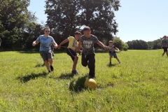 IMG_20200710_104346108~2