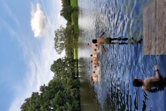 IMG_20200710_115852145_HDR