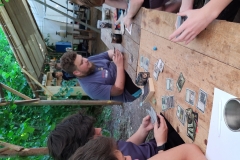 IMG_20200710_144358121