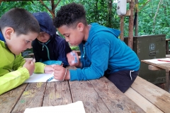 IMG_20200711_123443034