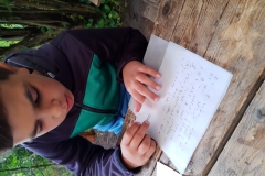 IMG_20200711_130843291