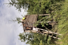 IMG_20200711_163224747_HDR