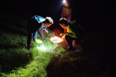 IMG_20200711_223131423~2