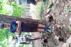 IMG_20200712_180153584