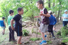 IMG_20200712_180604548