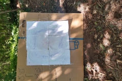 IMG_20200714_121319886_HDR