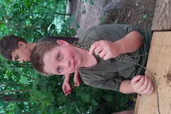 IMG_20200715_123805794_BURST001