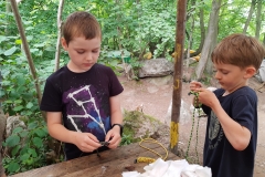 IMG_20200715_124259187_BURST001