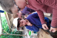 IMG_20200715_124351593_MP