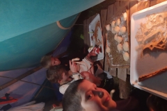 IMG_20200717_214309645