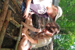IMG_20210706_165627260