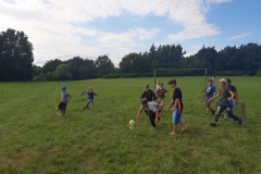 IMG_20210707_174803937
