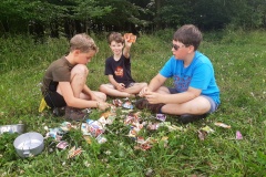 IMG_20210709_121012952_HDR