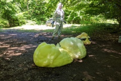 PK_PXL_20210706_095635964