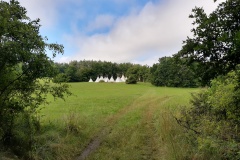 T_IMG_20210712_092408616_HDR