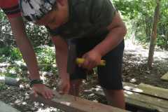 IMG-20220703-WA0005