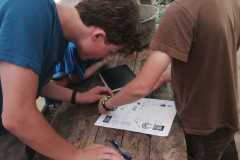 IMG-20220704-WA0003