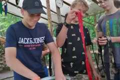 IMG-20220704-WA0005