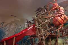 IMG-20220708-WA0001