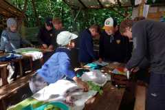 IMG-20220710-WA0004