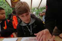 IMG-20220710-WA0035