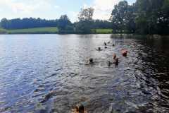 IMG-20220711-WA0002
