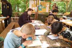 IMG-20220711-WA0006