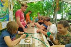 IMG-20220718-WA0008