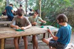 IMG-20220719-WA0006