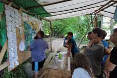 IMG-20220719-WA0049