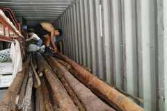IMG-20220815-WA0041
