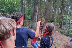 PXL_20220705_145734905