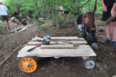 z293