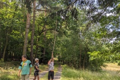 PXL_20230706_093433512