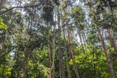 PXL_20230706_093746655