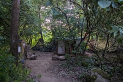 PXL_20230707_191137578