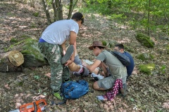 PXL_20230709_084634080