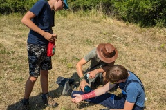 PXL_20230709_085441867